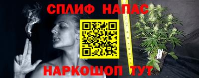 крисы Кингисепп