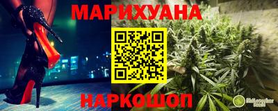 крисы Кингисепп