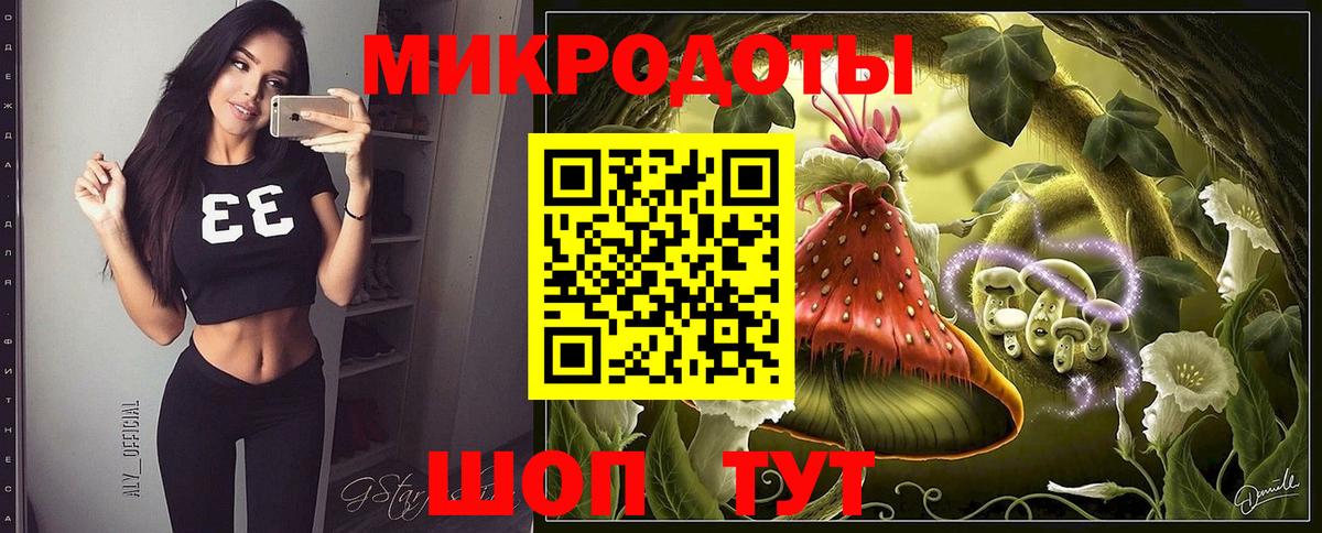 Псилоцибиновые грибы Psilocybe Кохма